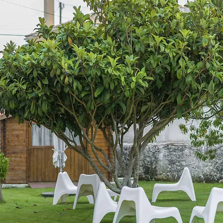 Casa Hortensias - Charming Sintra