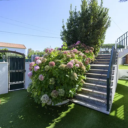 住宿加早餐酒店 卡萨赫腾西亚魅力旅馆 辛特拉