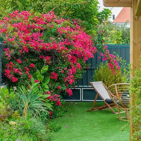 Casa Hortensias - Charming